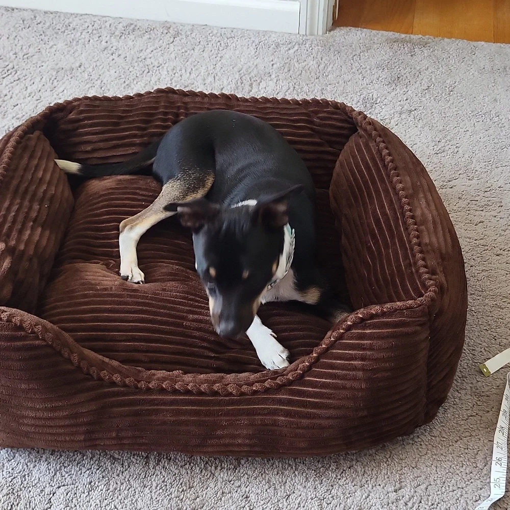 Dog bed